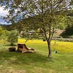 アパート Wolftalliebe Bad Rippoldsau-Schapbach