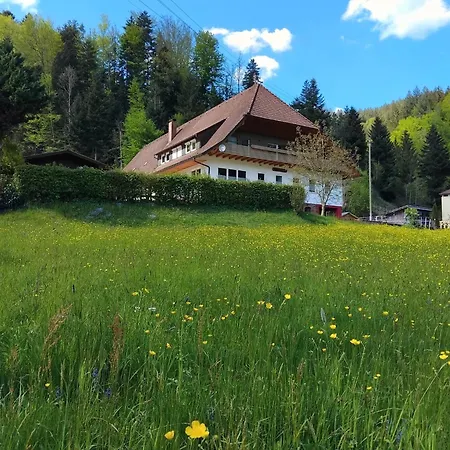 公寓 Wolftalliebe *